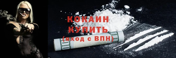 стаф Ладушкин
