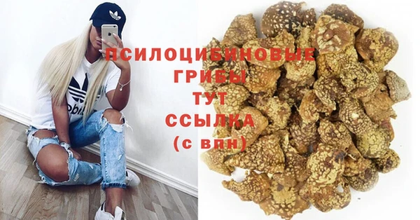 стаф Ладушкин
