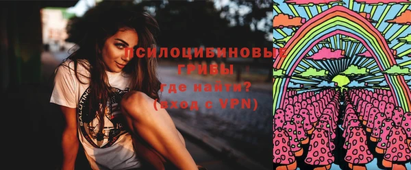 гидра Лабытнанги