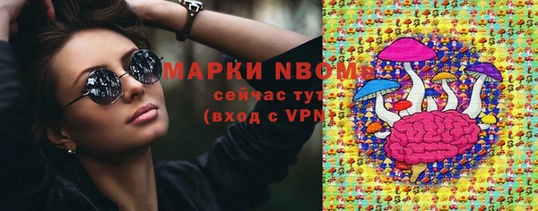 стаф Ладушкин