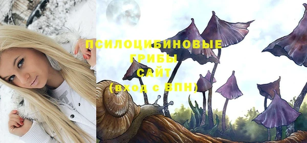 мет Лагань