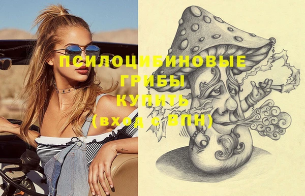 гидра Лабытнанги