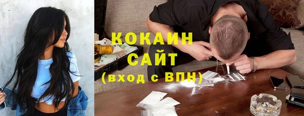 мет Лагань