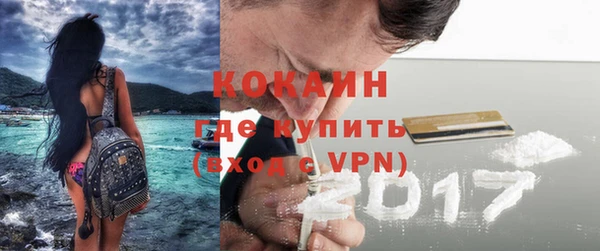 стаф Ладушкин
